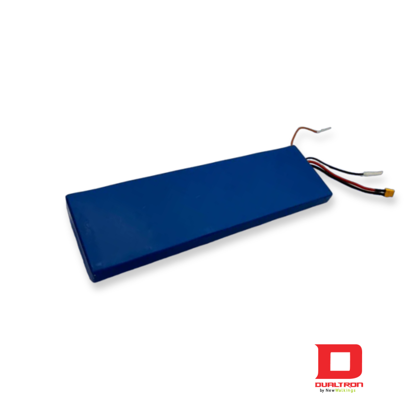 Minimotors - Batterie 48 V / 15 Ah pour trottinette électrique Dualtron Togo